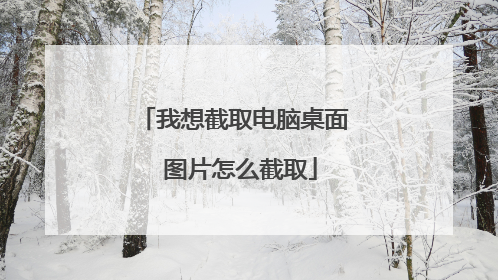 我想截取电脑桌面 图片怎么截取