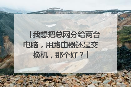 我想把总网分给两台电脑,用路由器还是交换机,那个好?