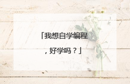 我想自学编程,好学吗?