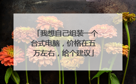 我想自己组装一个台式电脑,价格在五万左右,给个建议
