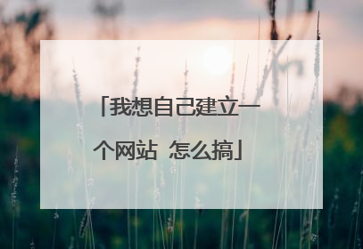 我想自己建立一个网站 怎么搞