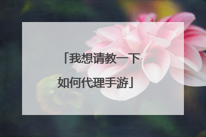 我想请教一下如何代理手游