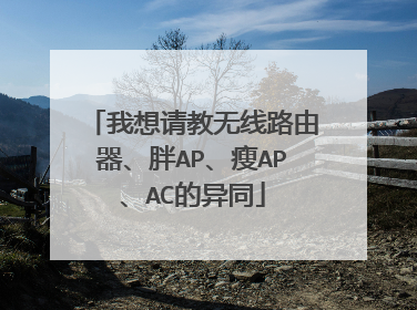 我想请教无线路由器、胖AP、瘦AP、AC的异同