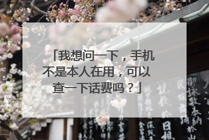 我想问一下,手机不是本人在用,可以查一下话费吗?