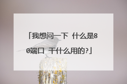 我想问一下 什么是80端口 干什么用的?