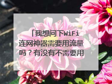 我想问下WiFi连网神器需要用流量吗？有没有不需要用流量的连网神器？连WiFi的。