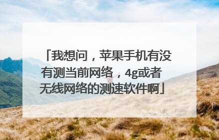我想问,苹果手机有没有测当前网络,4g或者无线网络的测速软件啊