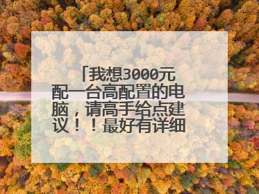 我想3000元配一台高配置的电脑,请高手给点建议!!最好有详细配置单!谢!!