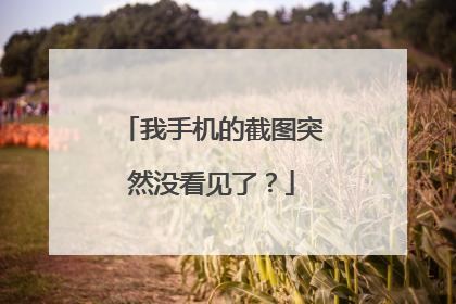 我手机的截图突然没看见了?