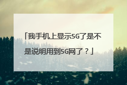 我手机上显示5G了是不是说明用到5G网了？
