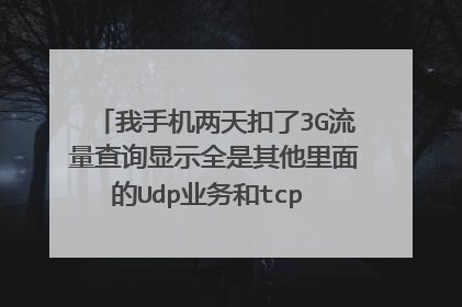 我手机两天扣了3G流量查询显示全是其他里面的Udp业务和tcp 业务用的流量求高手指点这两个业务什