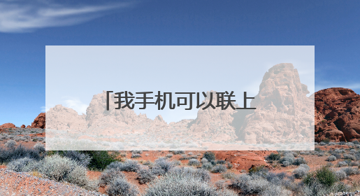 我手机可以联上WiFi但手机上出现“网络受限制”是怎么回事？