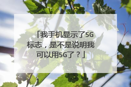 我手机显示了5G标志，是不是说明我可以用5G了？