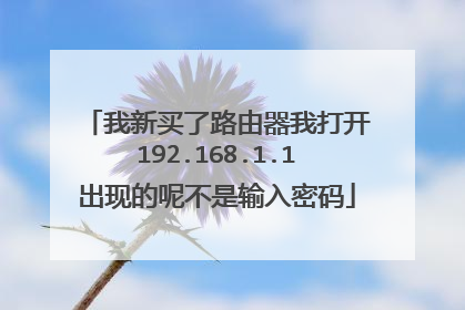 我新买了路由器我打开192.168.1.1出现的呢不是输入密码