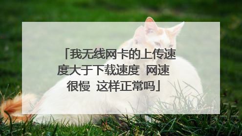 我无线网卡的上传速度大于下载速度 网速很慢 这样正常吗