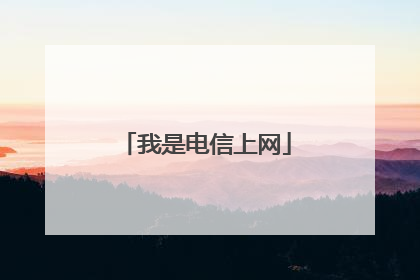 我是电信上网