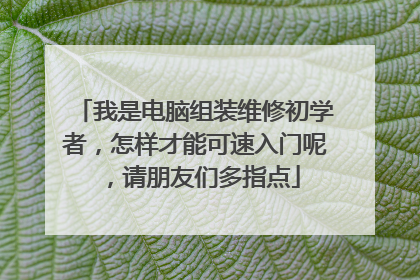我是电脑组装维修初学者，怎样才能可速入门呢，请朋友们多指点