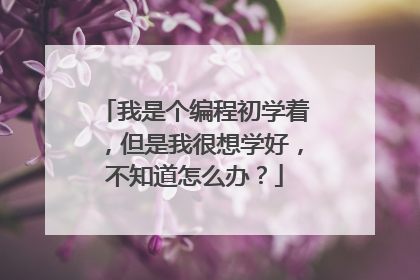 我是个编程初学着，但是我很想学好，不知道怎么办？