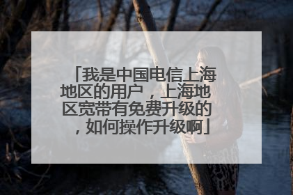 我是中国电信上海地区的用户,上海地区宽带有免费升级的,如何操作升级啊
