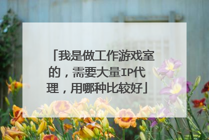我是做工作游戏室的,需要大量IP代理,用哪种比较好