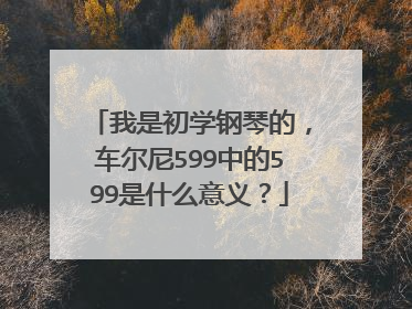 我是初学钢琴的，车尔尼599中的599是什么意义？