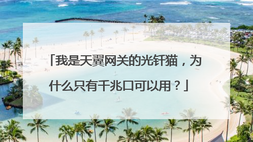 我是天翼网关的光钎猫,为什么只有千兆口可以用?