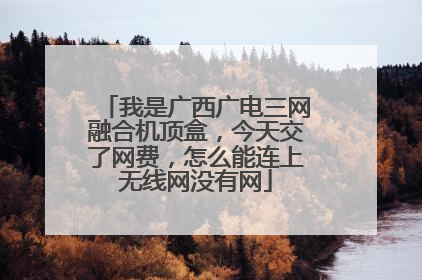 我是广西广电三网融合机顶盒,今天交了网费,怎么能连上无线网没有网