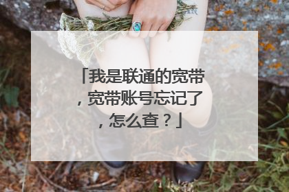 我是联通的宽带,宽带账号忘记了,怎么查?