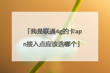 我是联通4g的卡apn接入点应该选哪个