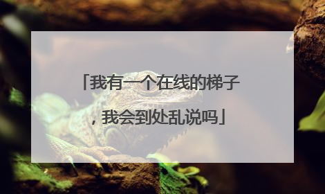 我有一个在线的梯子,我会到处乱说吗