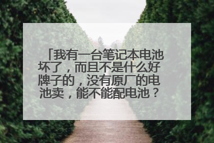 我有一台笔记本电池坏了,而且不是什么好牌子的,没有原厂的电池卖,能不能配电池?有万能的没?