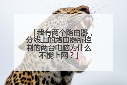 我有两个路由器,分线上的路由器所控制的两台电脑为什么不能上网?