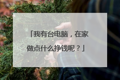 我有台电脑,在家做点什么挣钱呢?