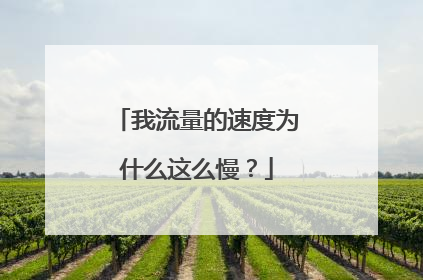 我流量的速度为什么这么慢？