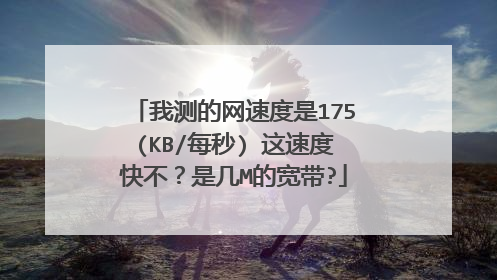 我测的网速度是175(KB/每秒) 这速度快不?是几M的宽带?