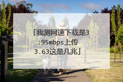 我测网速下载是3:95mbps上传3.63这是几兆