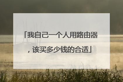 我自己一个人用路由器,该买多少钱的合适