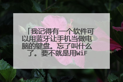 我记得有一个软件可以用蓝牙让手机当做电脑的键盘。忘了叫什么了。要不就是用WiFi局域网。