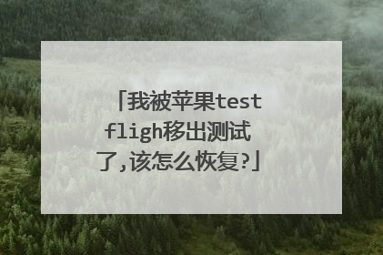 我被苹果testfligh移出测试了,该怎么恢复?