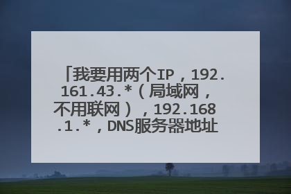 我要用两个IP，192.161.43.*（局域网，不用联网），192.168.1.*，DNS服务器地址一个空白一个填如图