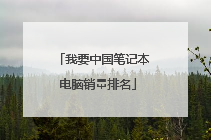 我要中国笔记本电脑销量排名