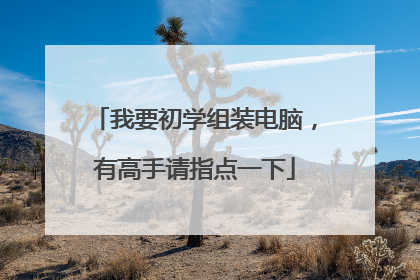 我要初学组装电脑,有高手请指点一下