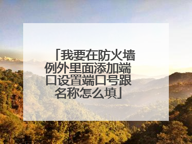 我要在防火墙例外里面添加端口设置端口号跟名称怎么填