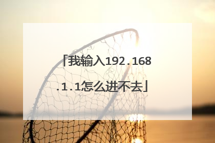 我输入192.168.1.1怎么进不去