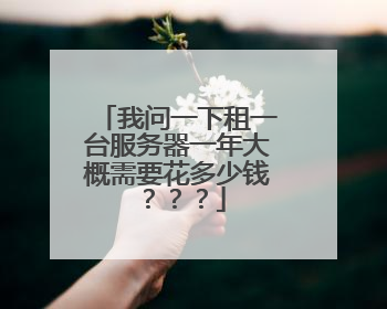 我问一下租一台服务器一年大概需要花多少钱???