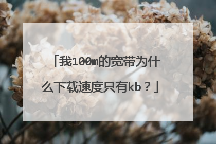 我100m的宽带为什么下载速度只有kb?