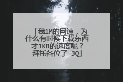 我1M的网速，为什么有时候下载东西才1KB的速度呢？拜托各位了 3Q