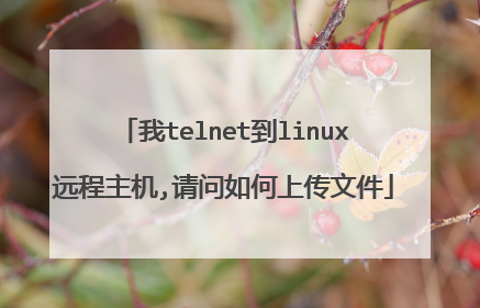 我telnet到linux远程主机,请问如何上传文件
