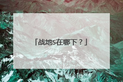 战地5在哪下?