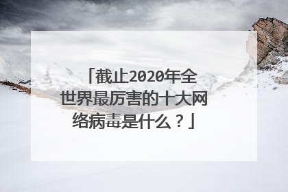 截止2020年全世界最厉害的十大网络病毒是什么？